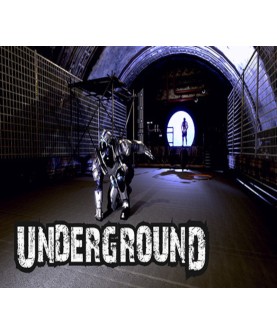 Underground Steam Key GLOBAL